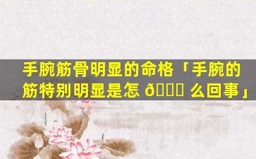 手腕筋骨明显的命格「手腕的筋特别明显是怎 🐝 么回事」